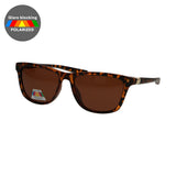 Spectrum polarisierte Sonnenbrille Schildkrötenrauch Damen