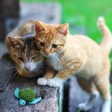 Kong Kat Katnip Turtle