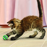Kong Kat Tennisbälle mit Berufung