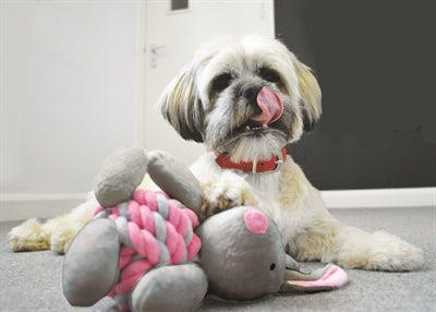 Little Rascals Knottie Bunny Touwbal Kaninchenrosa