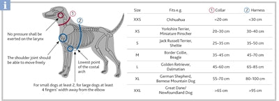 Trixie Kragenhund Premium Ozeanblau