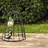 Am besten für Vögel selektiver Vogelhäuschen