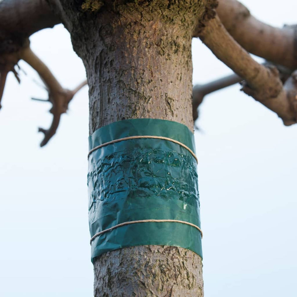 Nature Nature Insect Kleefband 150 cm 6060134