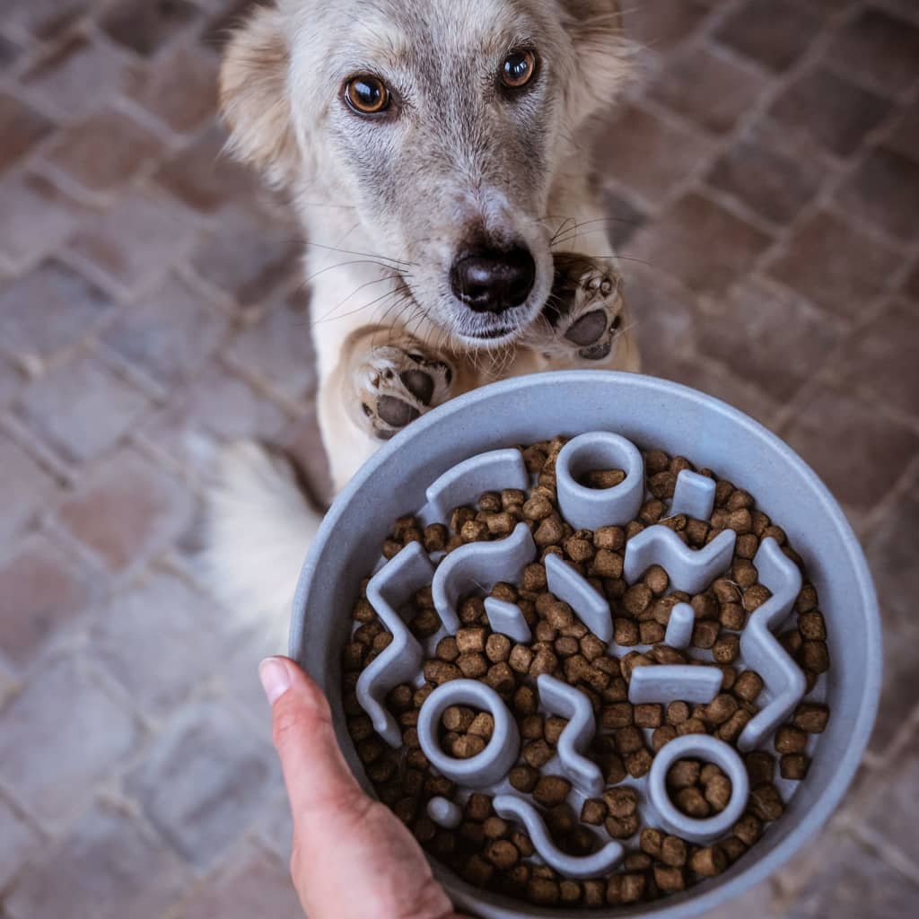 Distrikt70 Distrikt70 Slowfeeder für Hunde 28 cm Bambus Eisblau