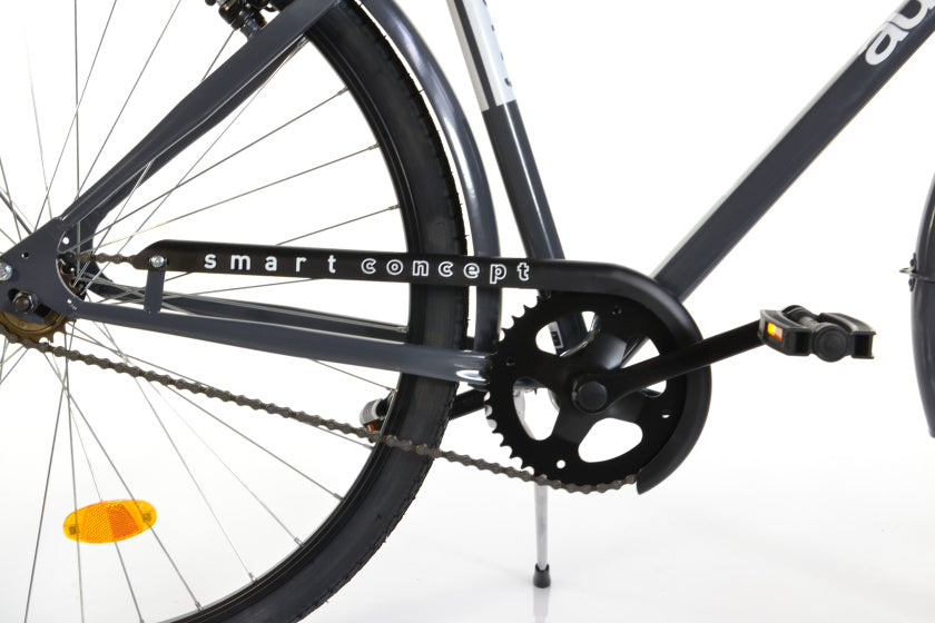 Dino 28 Zoll 49 cm Männer V-Brems dunkelgrau
