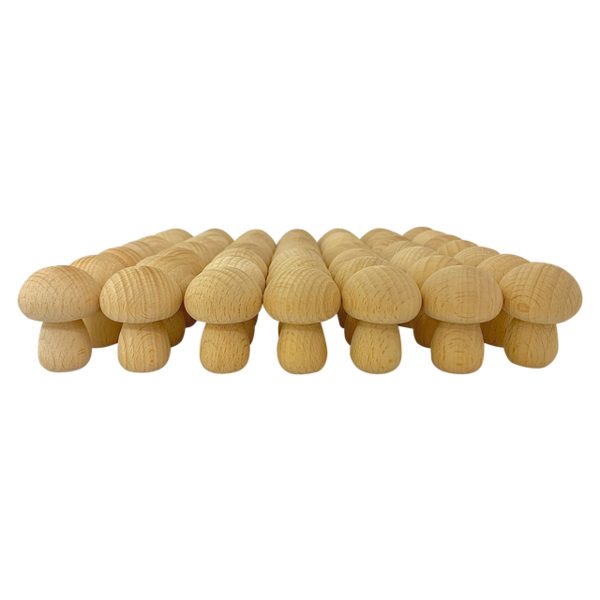 Papoose Toys Papoose Toys Mini Natural Pilz 49pc