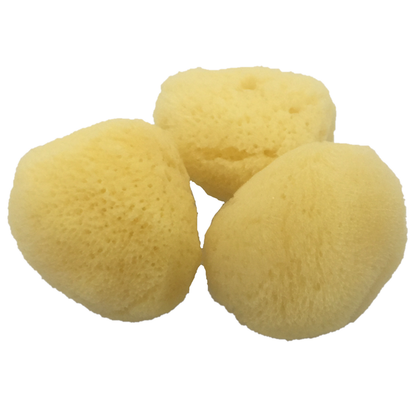 Papoose -Spielzeug Papoose -Spielzeug natürlicher Schwamm 'Seide' 6cm 3pc