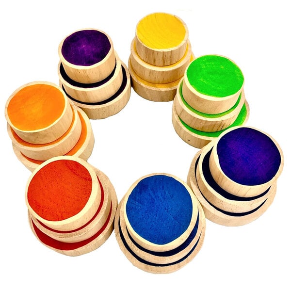 Papoose -Spielzeug Papoose -Spielzeug Regenbogenmünzen 21pc