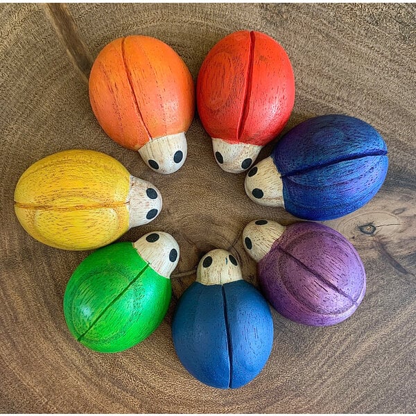 Papoose -Spielzeug Papoose -Spielzeug Regenbogen -Marienvögel 7pc