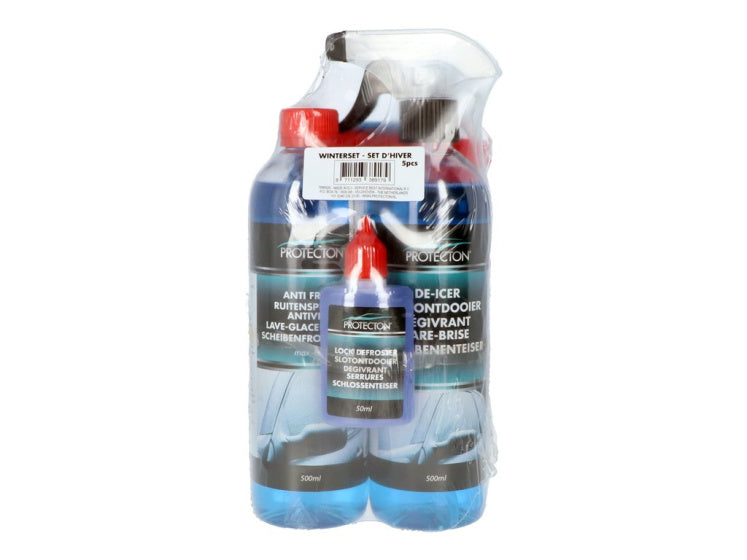 Protecton Winter Set 5-teiliges Auto 500 ml blau
